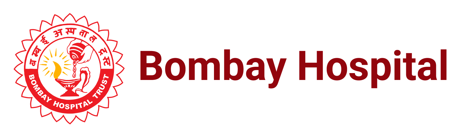 Partner Logo
